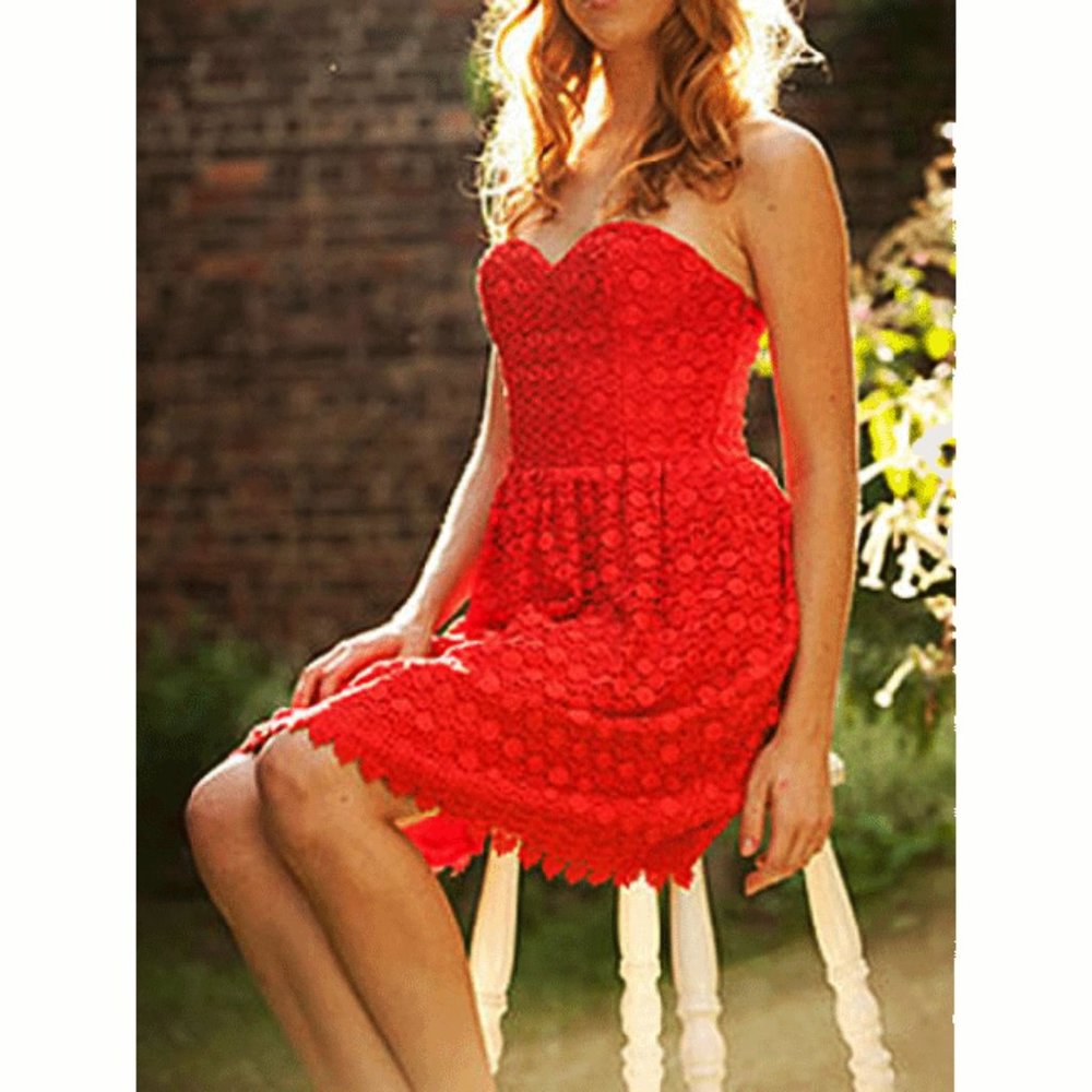 Embroidered Lace Strapless Bustier Dress XS